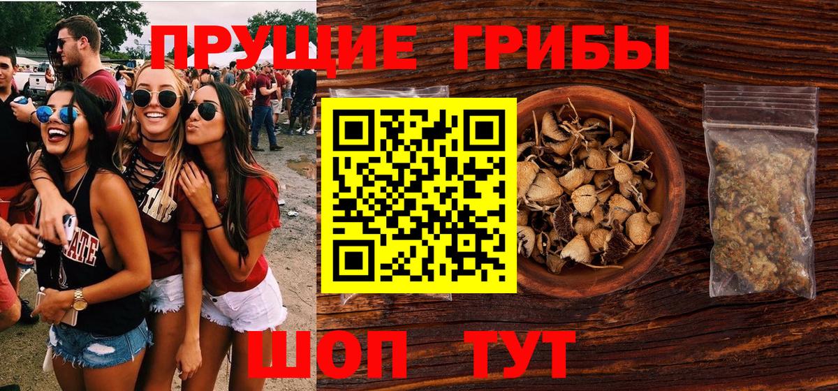Галлюциногенные грибы Psilocybe  сколько стоит  Карталы  Вход с VPN 
