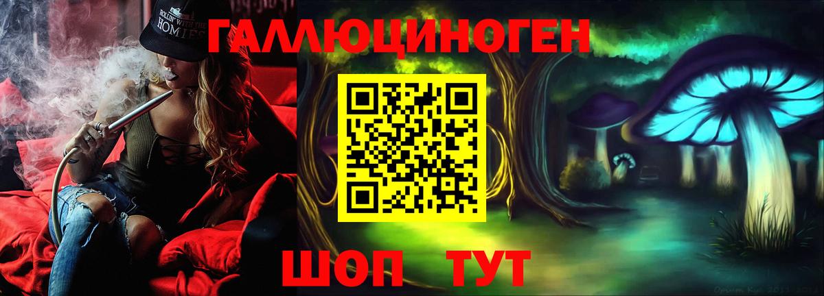 Галлюциногенные грибы Psilocybe Карталы